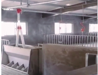 甘肅豬場(chǎng)